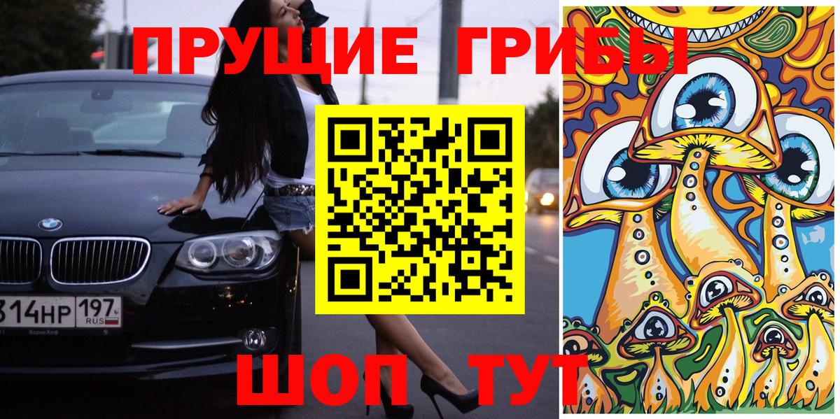 Вольск  Галлюциногенные грибы MAGIC MUSHROOMS  продажа наркотиков  Вход с VPN 