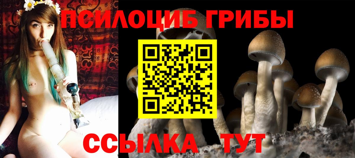 Псилоцибиновые грибы Magic Shrooms Вольск